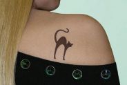 Tatuaggi per gatti
