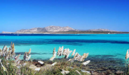isola dellAsinara