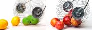 Raccoglitore frutta